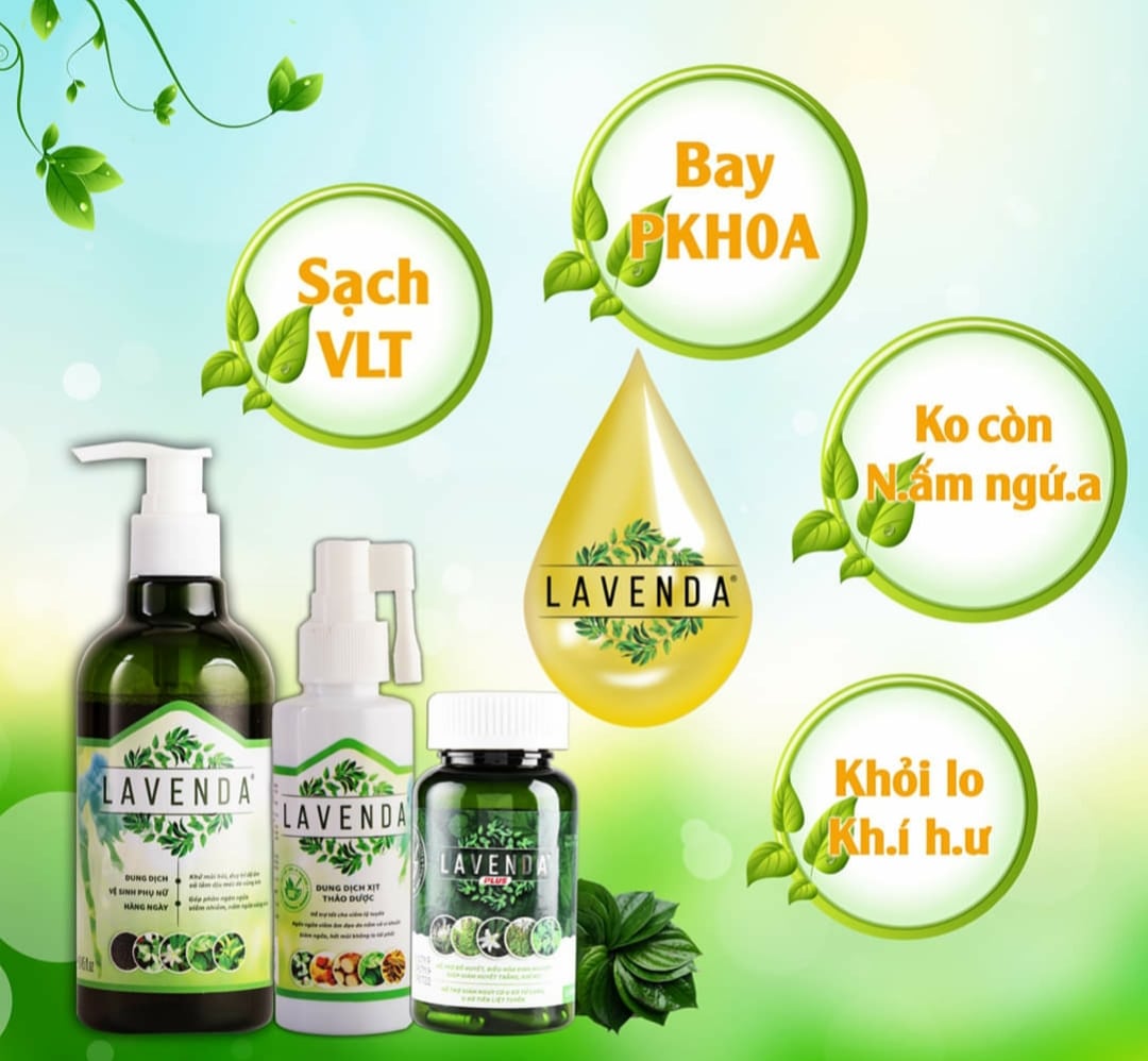 Lavenda - hỗ trợ điều trị viêm nhiễm phụ khoa