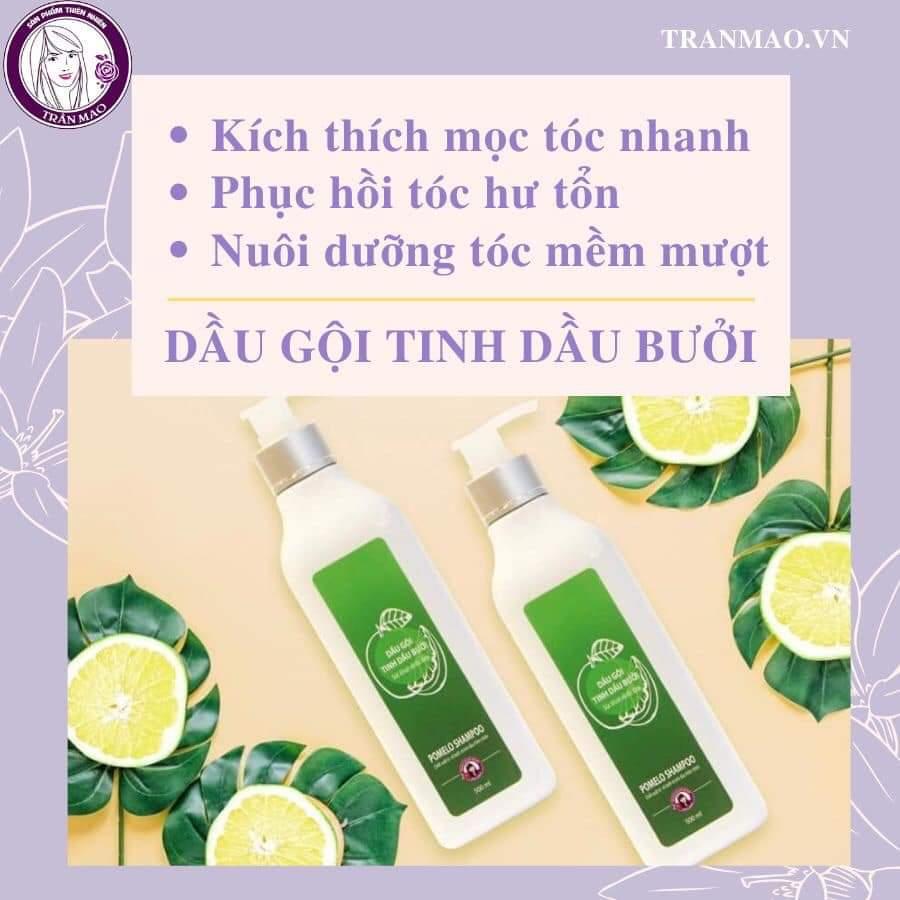 Dầu gội tinh dầu bưởi Trần Mao