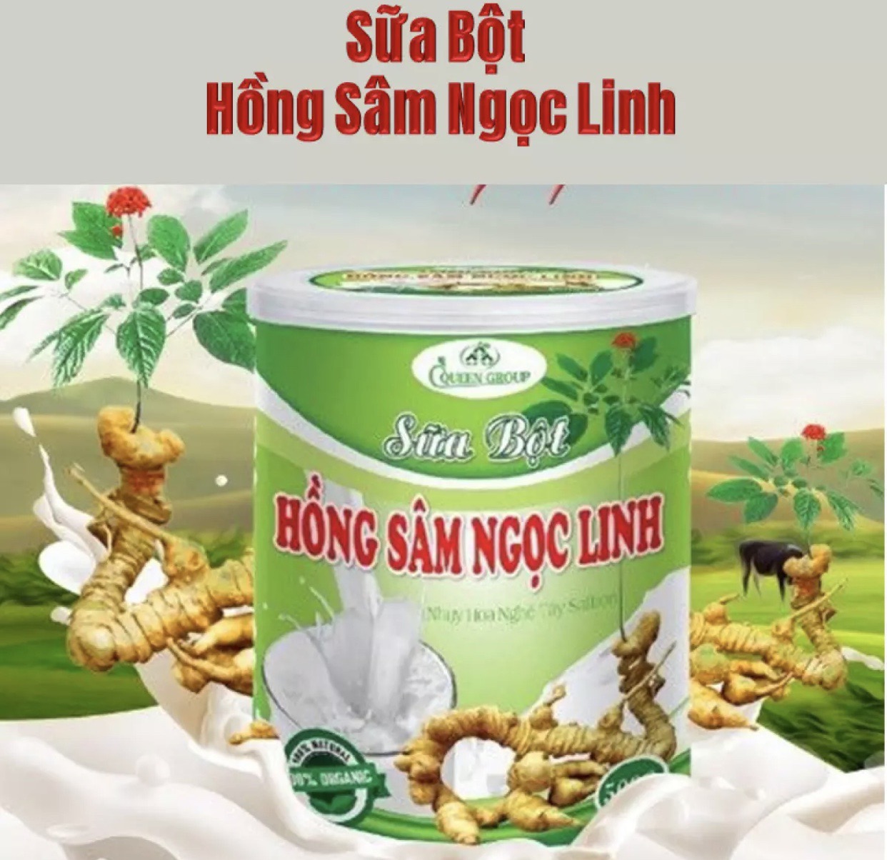 [Hộp 400g] Sữa Bột Hồng Sâm Ngọc Linh Giúp Phòng Chống Ung Thư, Tăng Sức Đề Kháng, Tăng Cường Trí Nhớ,Giúp Ăn Ngon, Ngủ Tốt, Giảm Mỡ Máu, Cân Bằng Huyết Áp