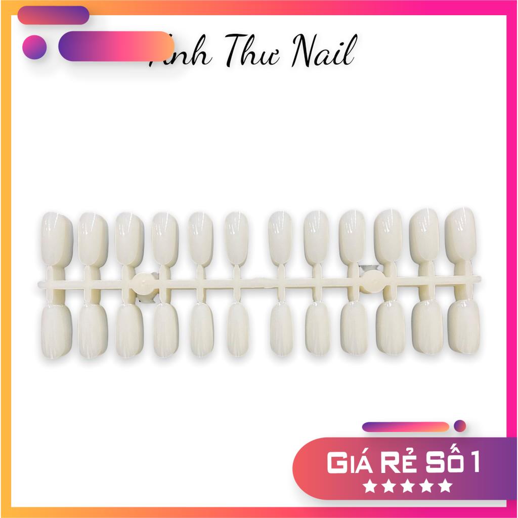 Vỉ móng giả học nail,móng học vẽ làm nail 240 móng
