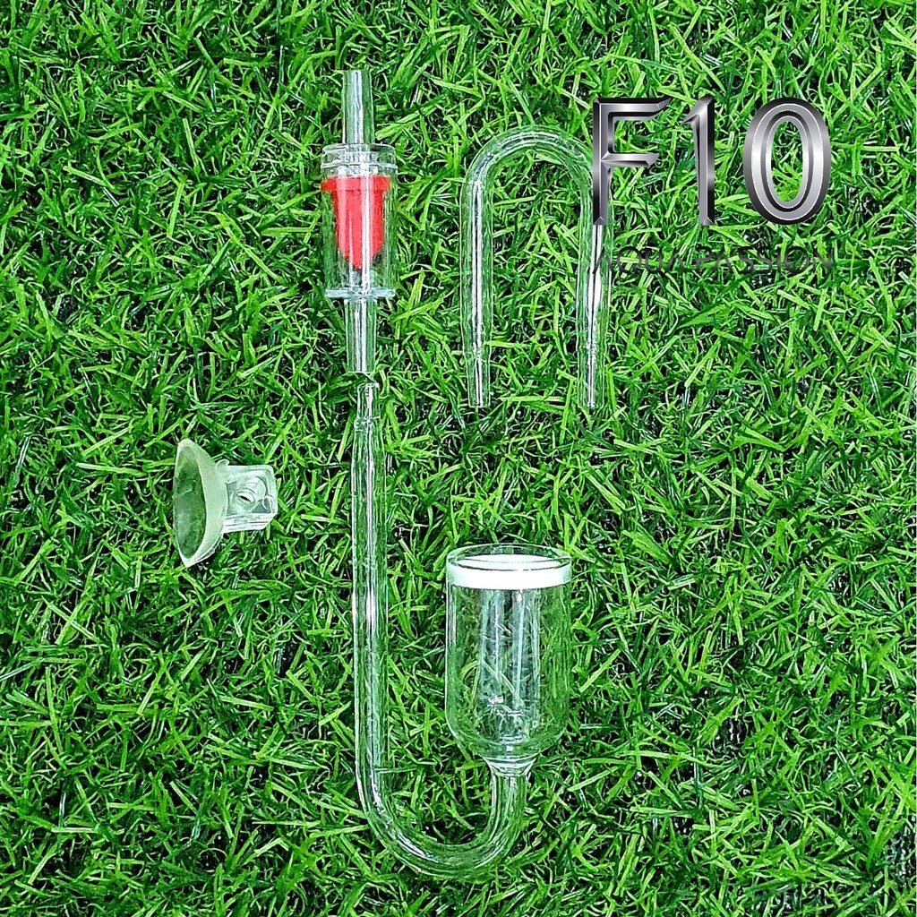 Sủi co2 thủy tinh full bộ giá rẻ - full bộ