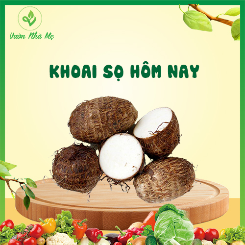 [Giao nội thành Hà Nội] Khoai sọ Vườn Nhà Mẹ - 1kg khoai thơm bùi - Rau củ quả tươi, sạch, chuẩn VietGap