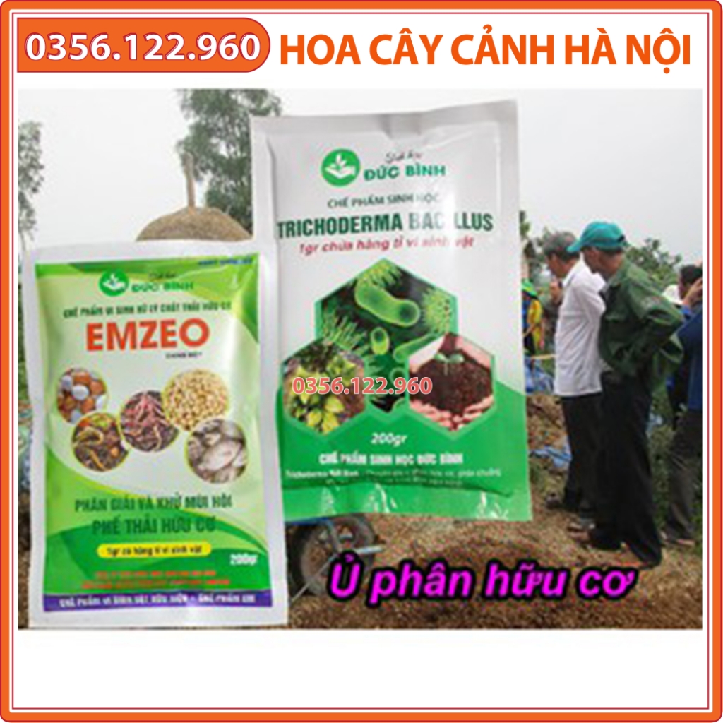 Chế phẩm vi sinh trichoderma bacillus + chế phẩm EMZEO ủ phân chuồng , rơm rạ, lá cây, mùn cưa