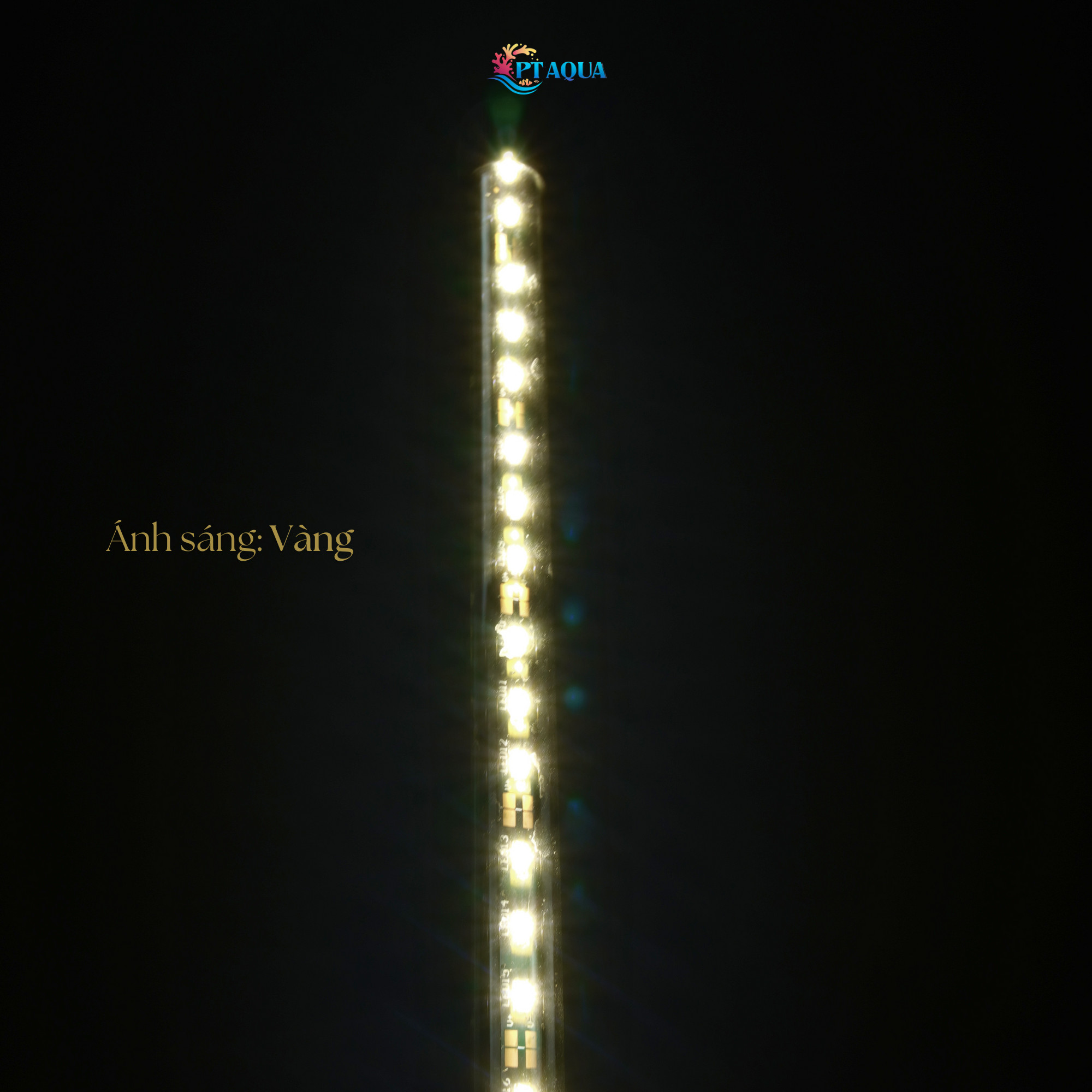 Đèn bể cá full vàng dành cho hồ cá cảnh
