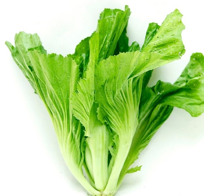 Dưa Cải Bẹ ( Dưa để Muối ) (kg)