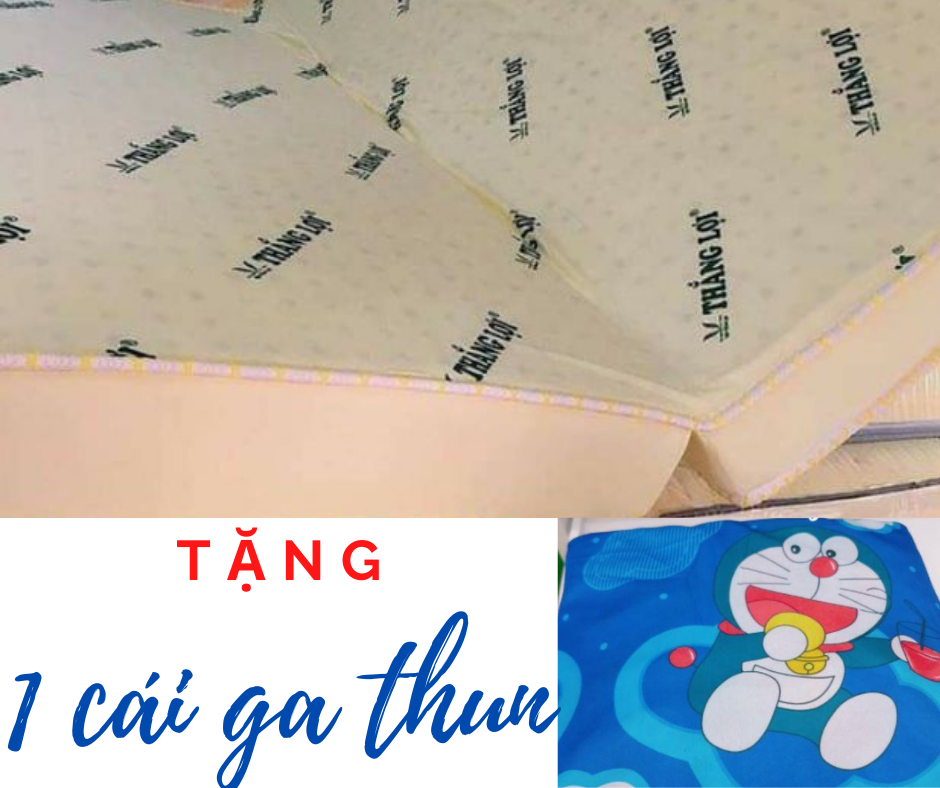 [HCM]Nệm Cao Su Non Gấp 3 Thắng Lợi 1m2x2mx10cmTẶNG  1 gra thun bọc nệm