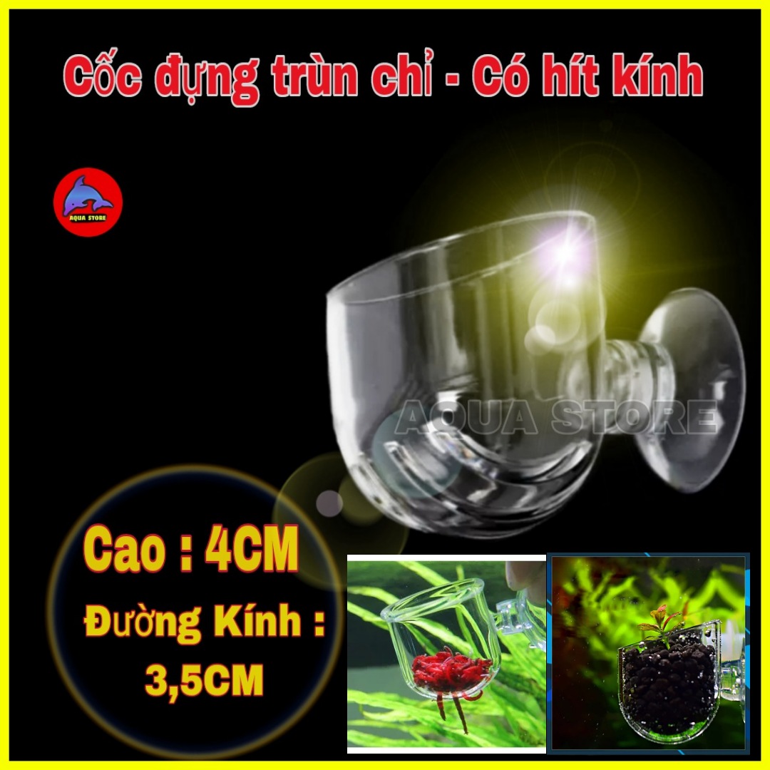Cốc đựng trùn cho cá Cảnh - Cốc đựng có hít kính