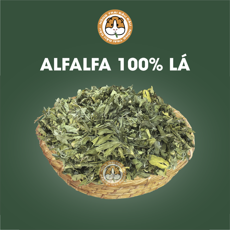 Cỏ alfalfa 100% lá cho thỏ, bọ ú, chinchilla 100g