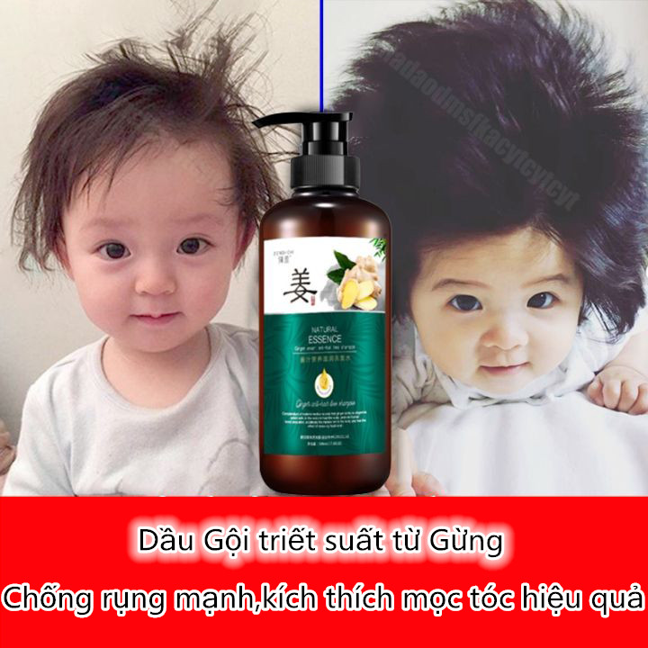 Dầu Gội gừng tươi, chiết xuất từ tự nhiên, ngăn ngừa tiết dầu, giúp ngăn rụng tóc, tinh chất chiết xuất từ tự nhiên, cho tóc chắc khỏe 500ml