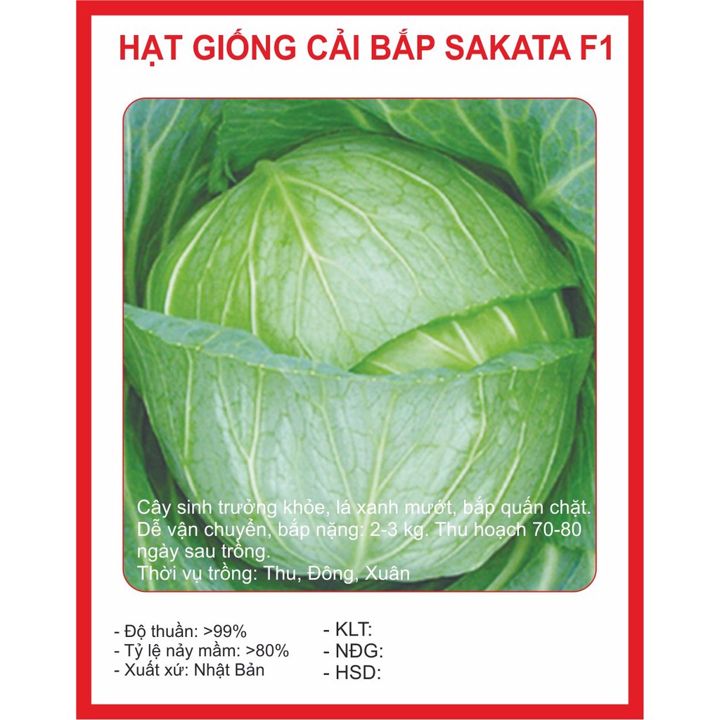 Hạt giống BẮP CẢI NHẬT - 0,2gram ~ 40 hạt