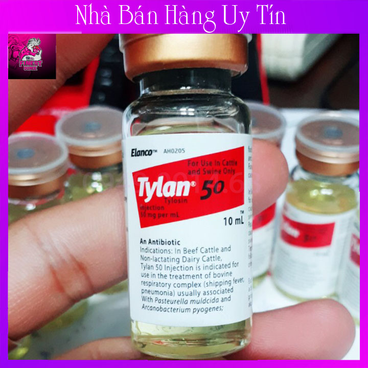 Tylan 50 chai 10ml-chích gà đá bị tang cựa-khò khè sỗ mũi-khọt khẹc