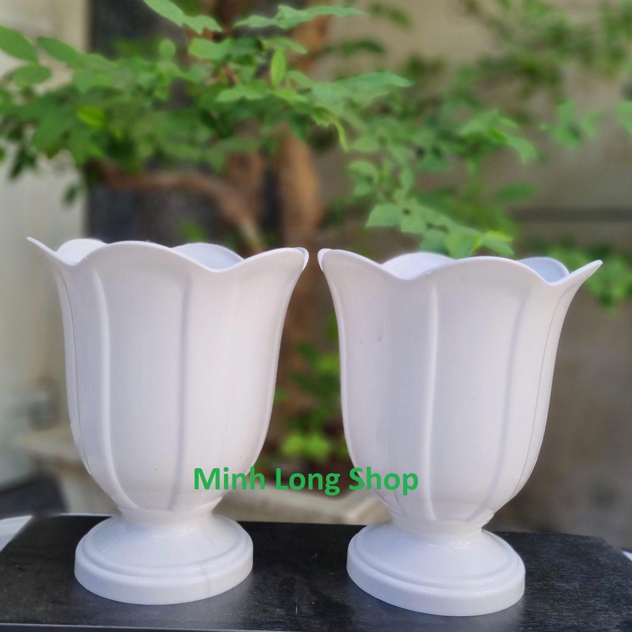 Bộ 02 chậu loa kèn trồng hoa màu trắng nhựa dày đẹp size nhỏ 21x24cm