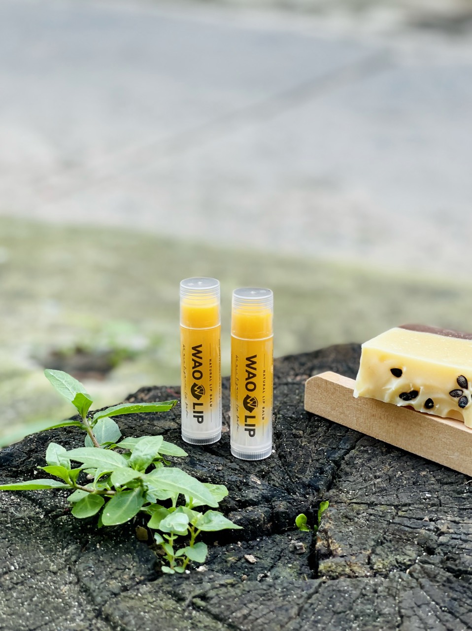 Son dưỡng Wao Fresh được làm thủ công từ thiên nhiên dưỡng mềm mượt môi