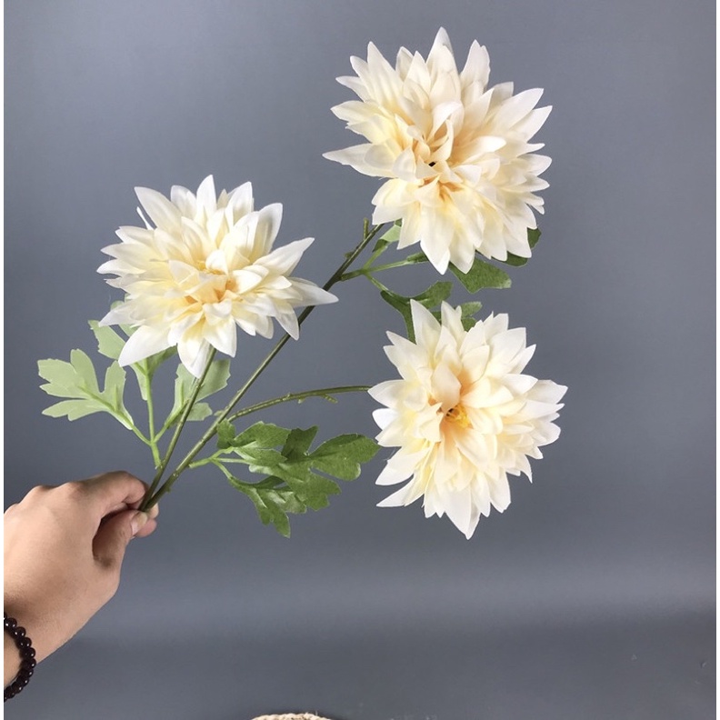 Hoa cúc Cúc xù Hoa cúc Hà lan giả hoa bằng lụa 1 cành 3 bông loại dài 52cm