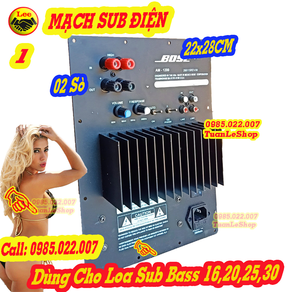 Mạch sub điện 2 sò nguồn đồng xuyến kích thước 22x28cm – mạch kéo loa sub