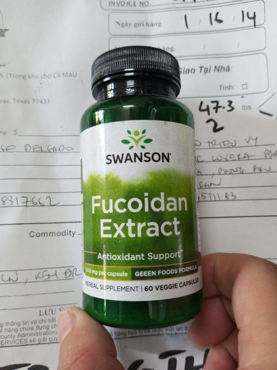 Viên uống phòng chống ung thư Swanson Fucoidan Extract 500mg 60 viên