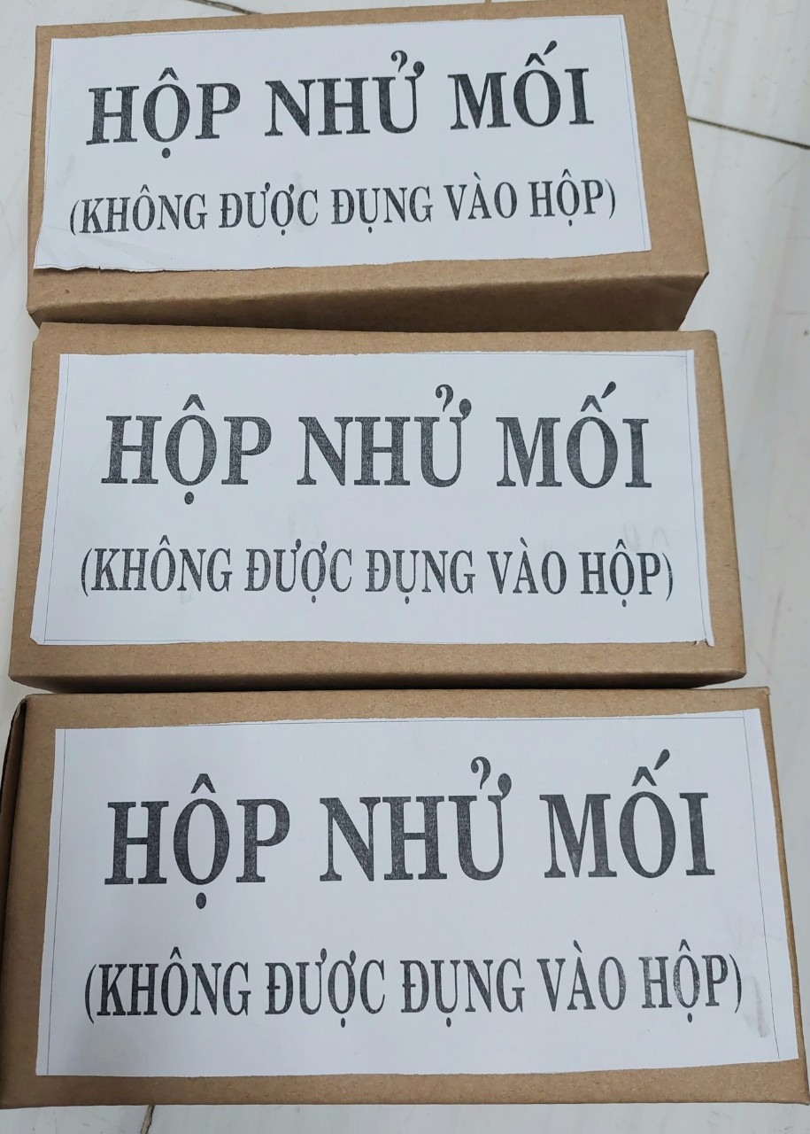 Hộp nhử mối gỗ thông trắng- hộp dẫn dụ bắt mối diệt trừ mối - diệt mối sinh học pmc90 - loại to