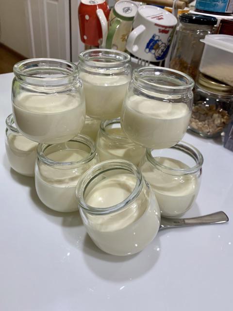 COMBO 15 HŨ THỦY TINH LÀM SỮA CHUA, BÁNH FLAN, CARAMEN 200ML NẮP NHỰA DÁNG BÉO LÙN (đựng khoảng 160ml - 180ml)