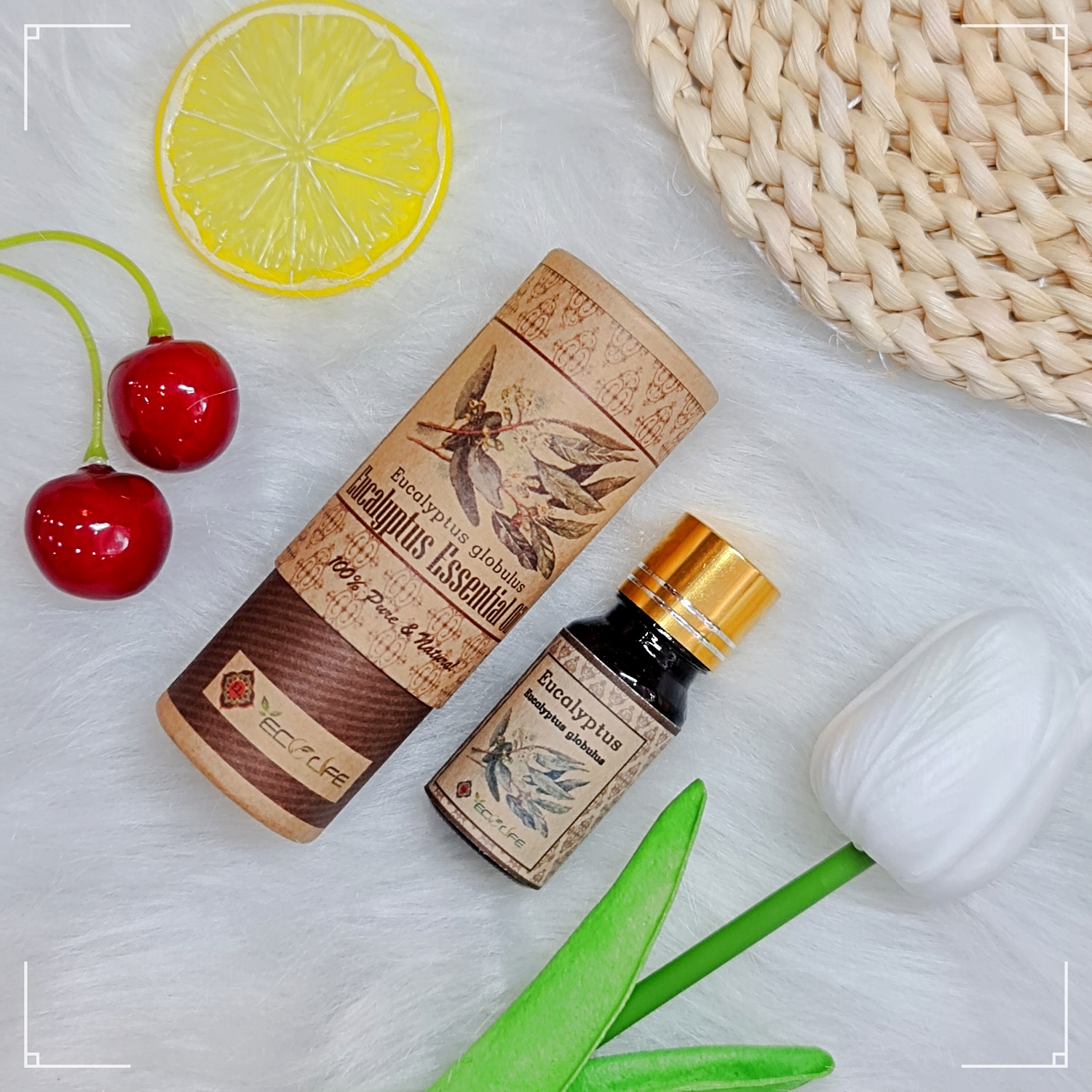 Tinh dầu chống cảm, xông thơm khuynh diệp Ecolife