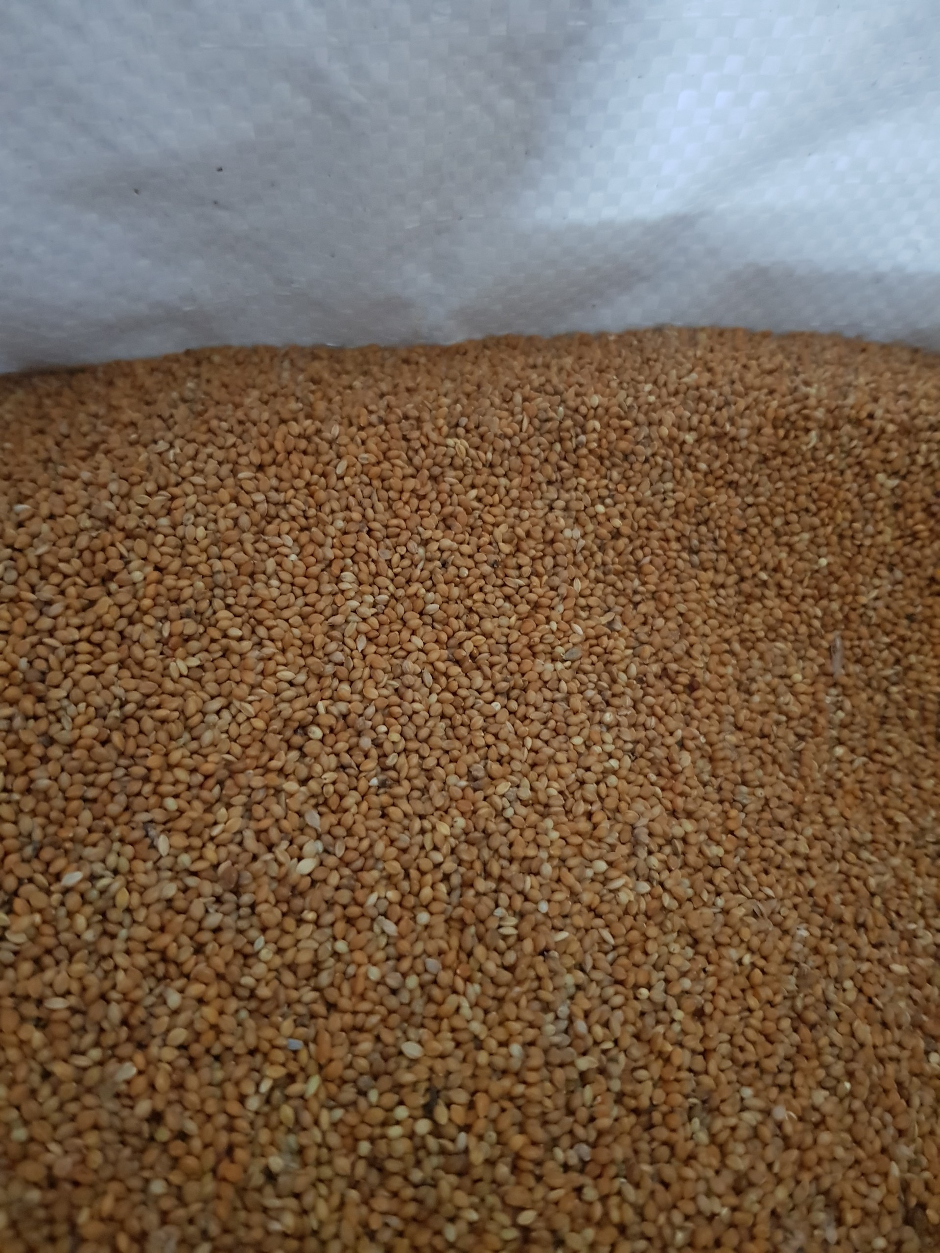 Kê đỏ hạt nhỏ cho vẹt, hamster, sóc gói 500g-1kg