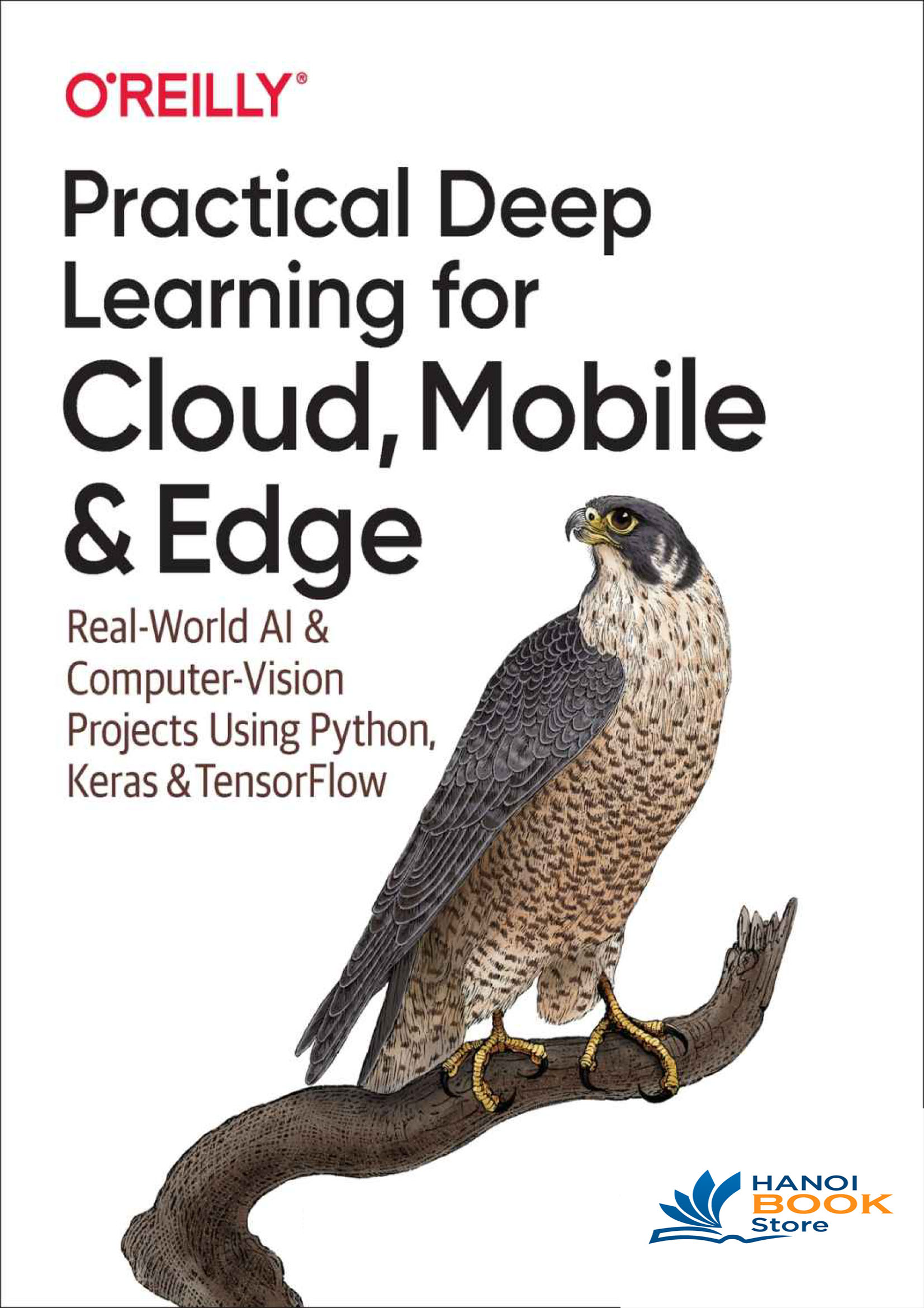 Practical Deep Learning for Cloud Mobile and Edge - Hanoi Book Store