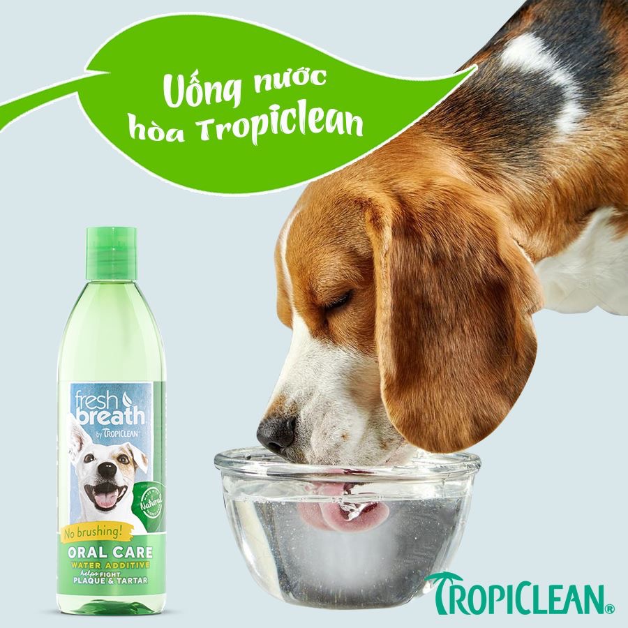 473ml - Nước vệ sinh răng miệng TropiClean đủ vị cho Chó Mèo đủ vị - TropiClean Fresh Breath Oral Care Water Additive