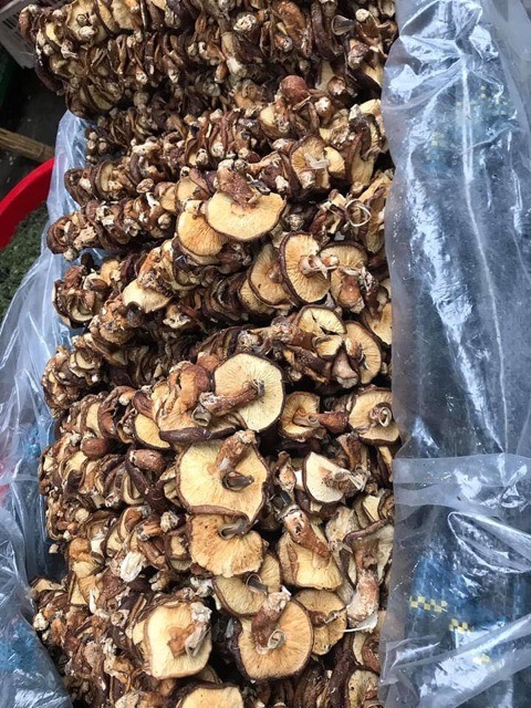 Nấm hương rừng , đặc sản tây bắc - 500gr