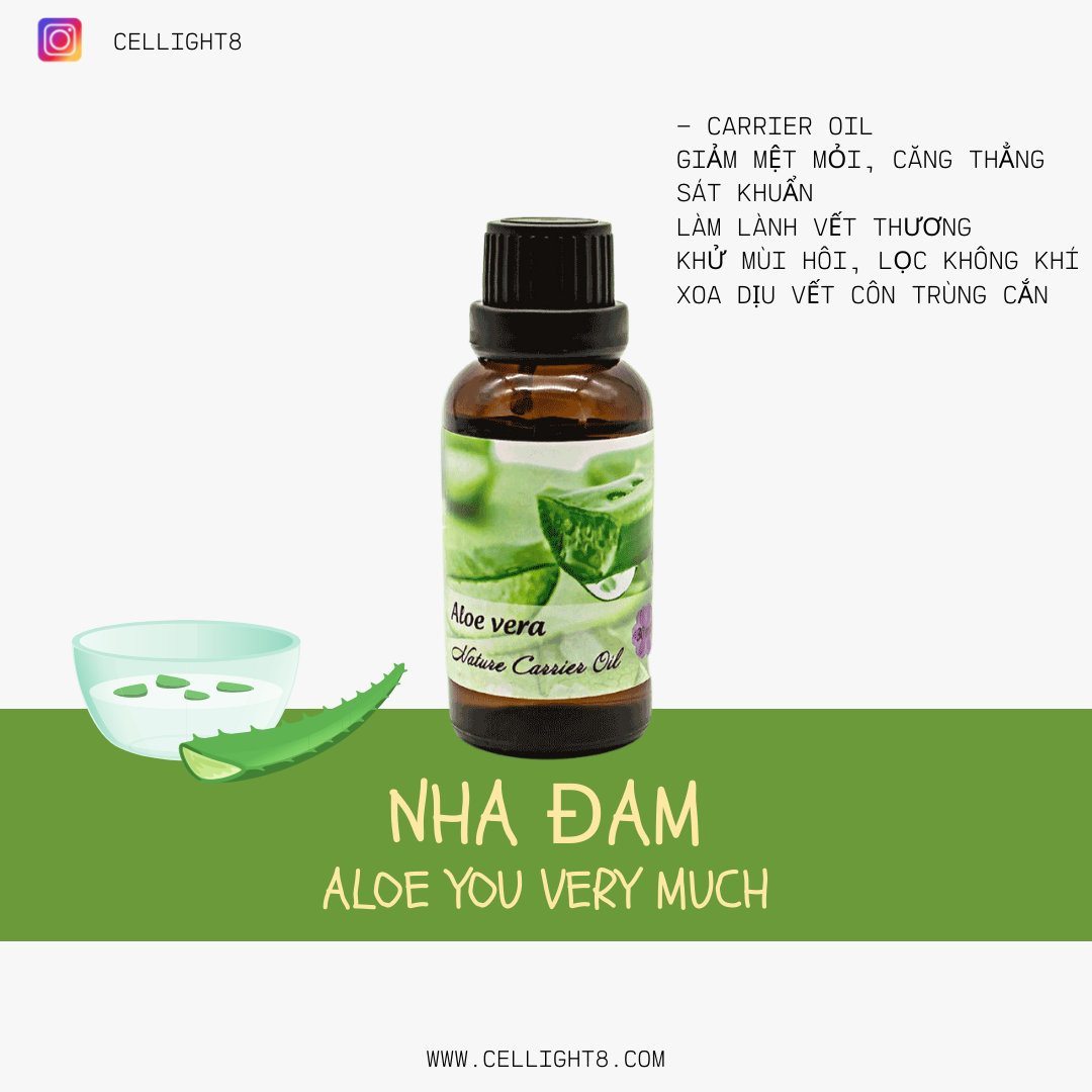 Dầu nền lô hội - Aloe Vera Carrier oil