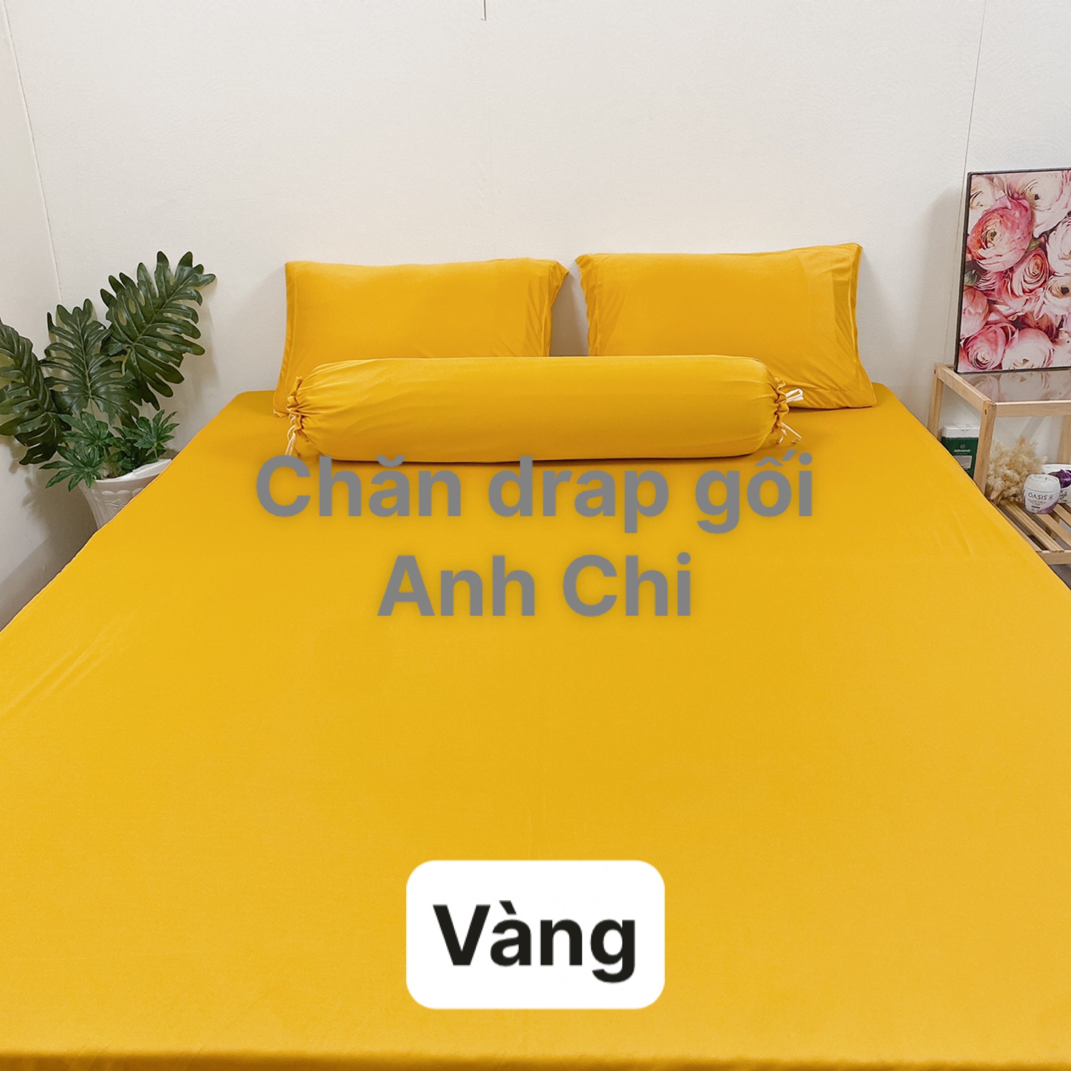 Bộ drap/ga/ra thun trơn màu vàng 1m6/1m8 . Bộ drap thun. Bộ ra thun. Bộ grap thun. Ga giường - drap giường - ra giường - grap giường. Chăn drap gối Anh Chi.