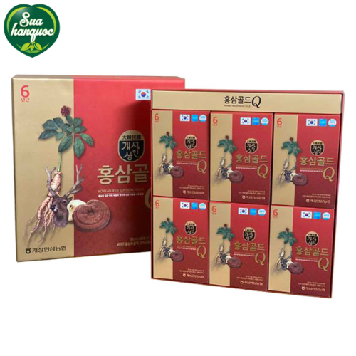 Nước hồng sâm linh chi nhung hươu Q – Korea Red Ginseng Gold