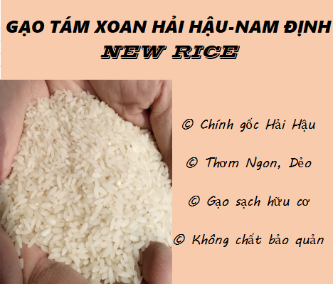 Gạo tám xoan (Chuẩn gốc Hải Hậu Nam Định)