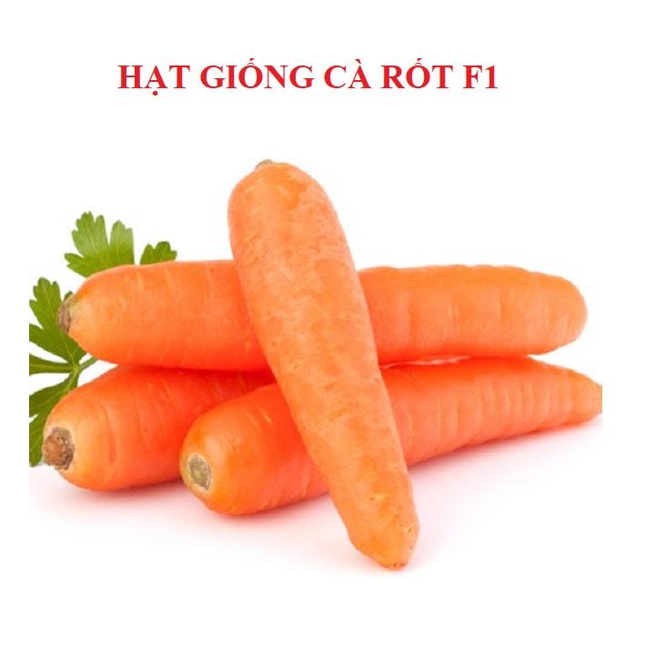 Hạt giống cà rốt F1 gói 0.5 gram xuất xứ Nhật Bản
