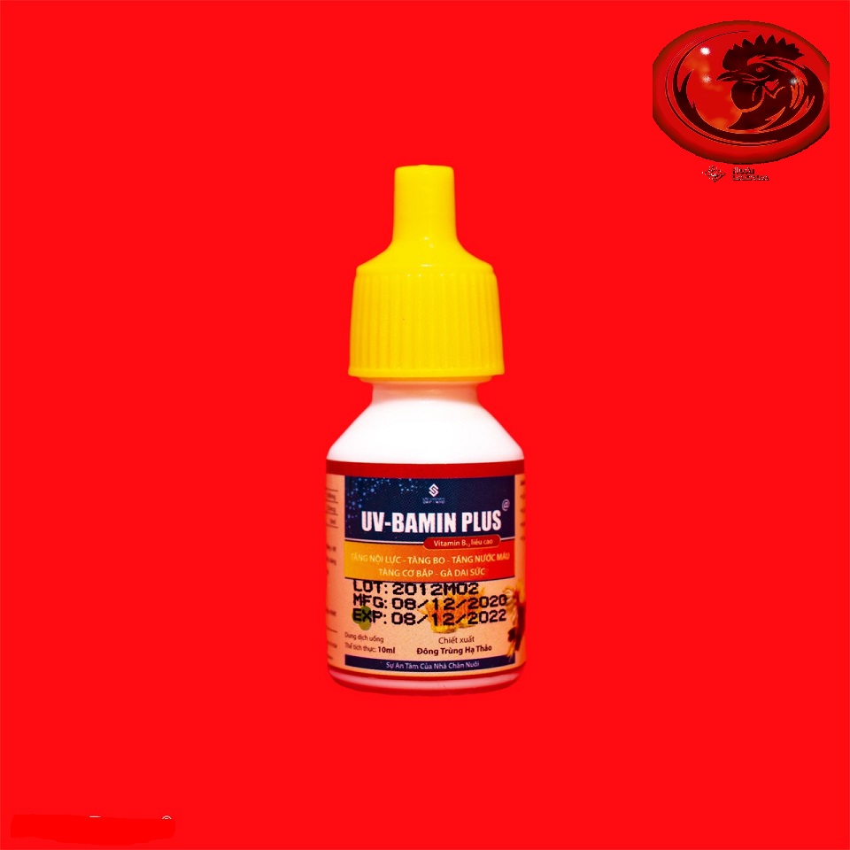 UV - BAMIN PLUS TĂNG NỘI LỰC - TĂNG CƠ - TĂNG NƯỚC MÁU 1 LỌ 10ML