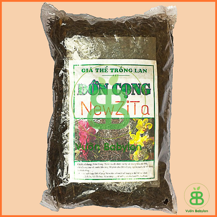 Dớn Cọng Trồng Lan