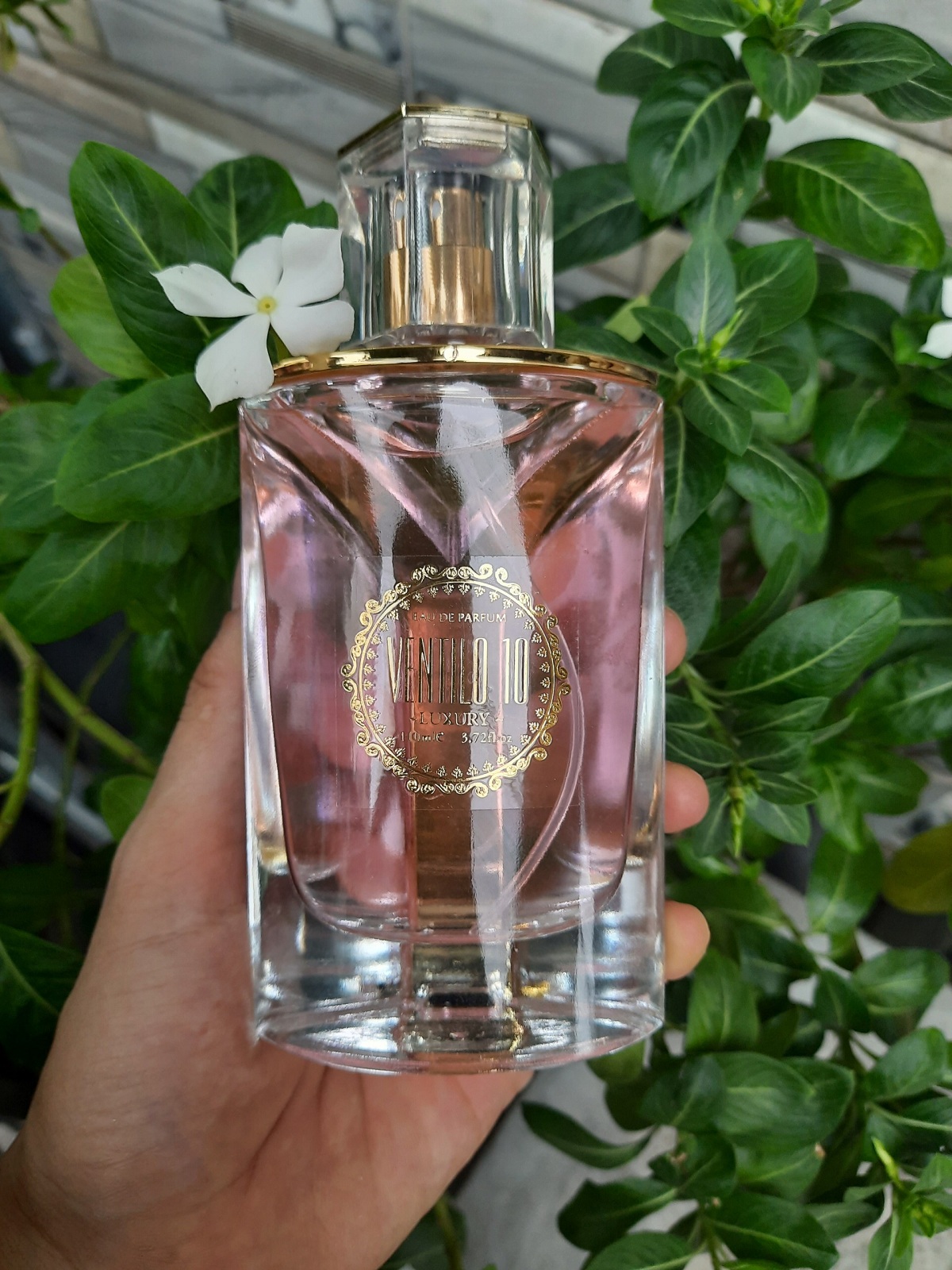 [Hàng Việt Nam Chất Lượng Cao Lưu Hương Tốt] Nước Hoa Ventilo 10 Luxury Hương Hoa Tươi Mát Nhẹ Dịu Ngọt Nhẹ Dịu Tinh Tế