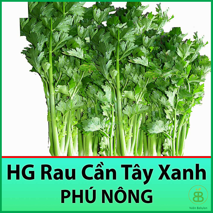 Hạt Giống Rau Cần Tây Xanh 5Gr Giàu Dinh Dưỡng