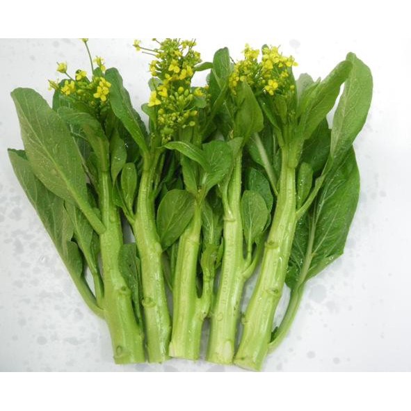 Hạt giống Cải Ngồng Mập 20gr
