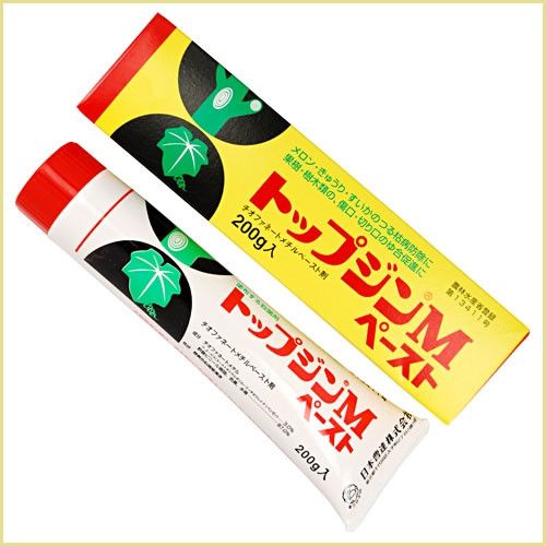 Keo liền sẹo top jin m paste nhật bản tuýp 200gr