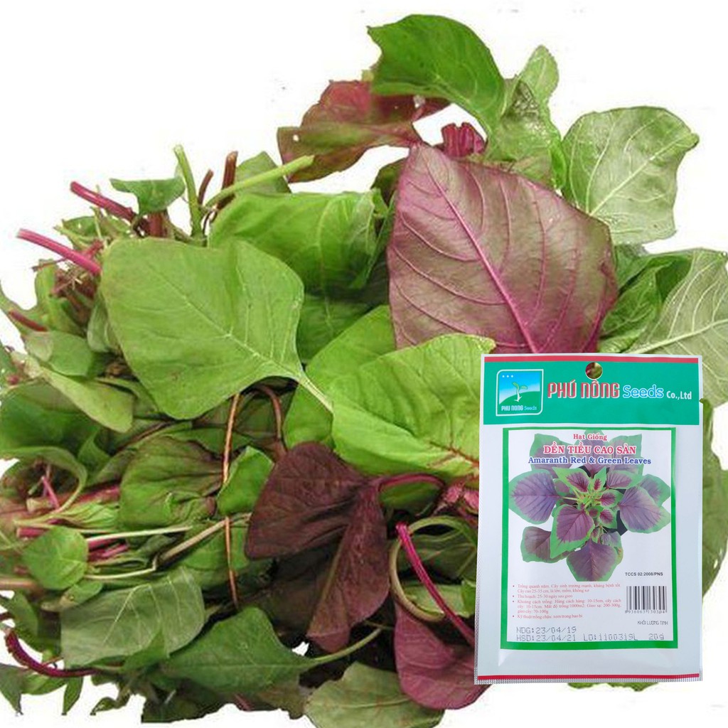 Hạt giống dền tiều cao sản 20gram
