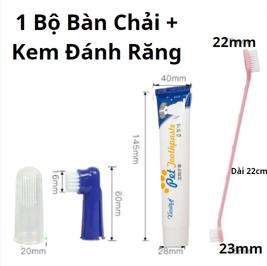 1 bộ kem đánh răng kèm 3 bàn chải đánh răng