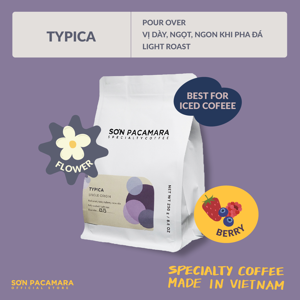 Typica từ Sơn Farm - Vị Cân Bằng - Phù Hợp Pour Over - Rang Nhạt - Việt Nam Specialty Coffee - TY