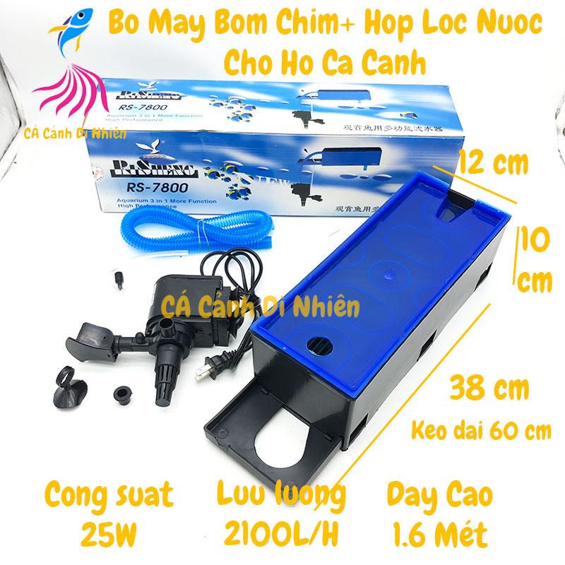 [HCM]Combo máy bơm máng lọc RS 7800 cho hồ cá cảnh