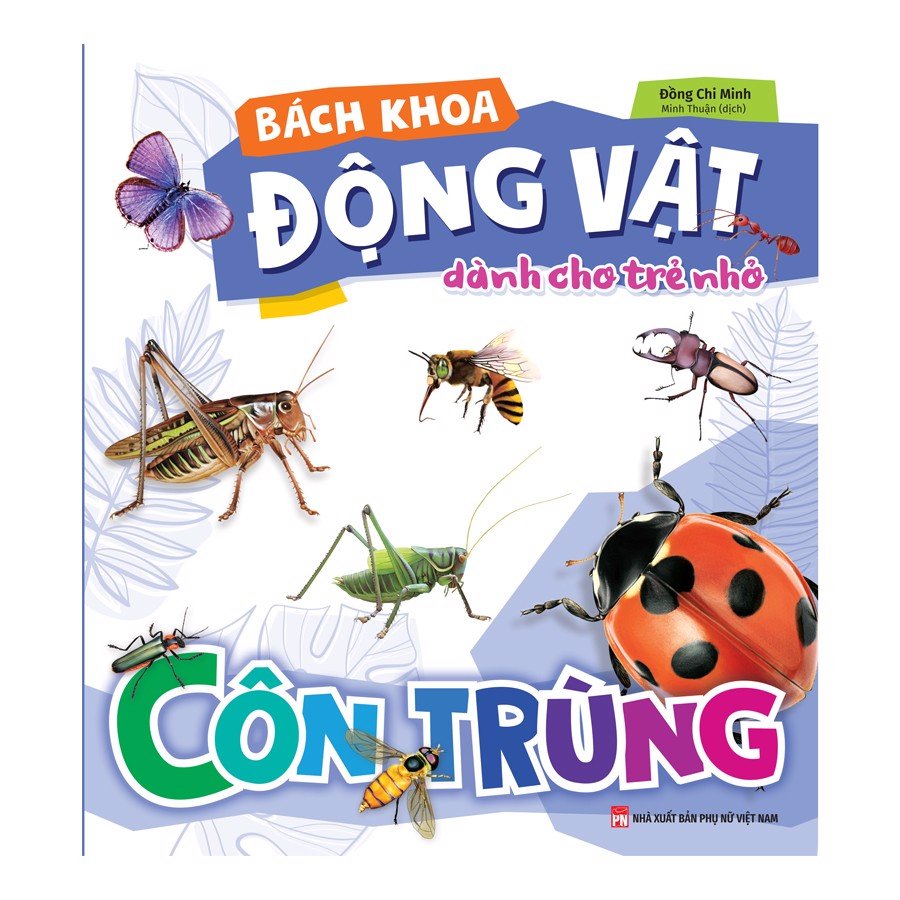 Sách: bách khoa động vật dành cho trẻ nhỏ - côn trùng