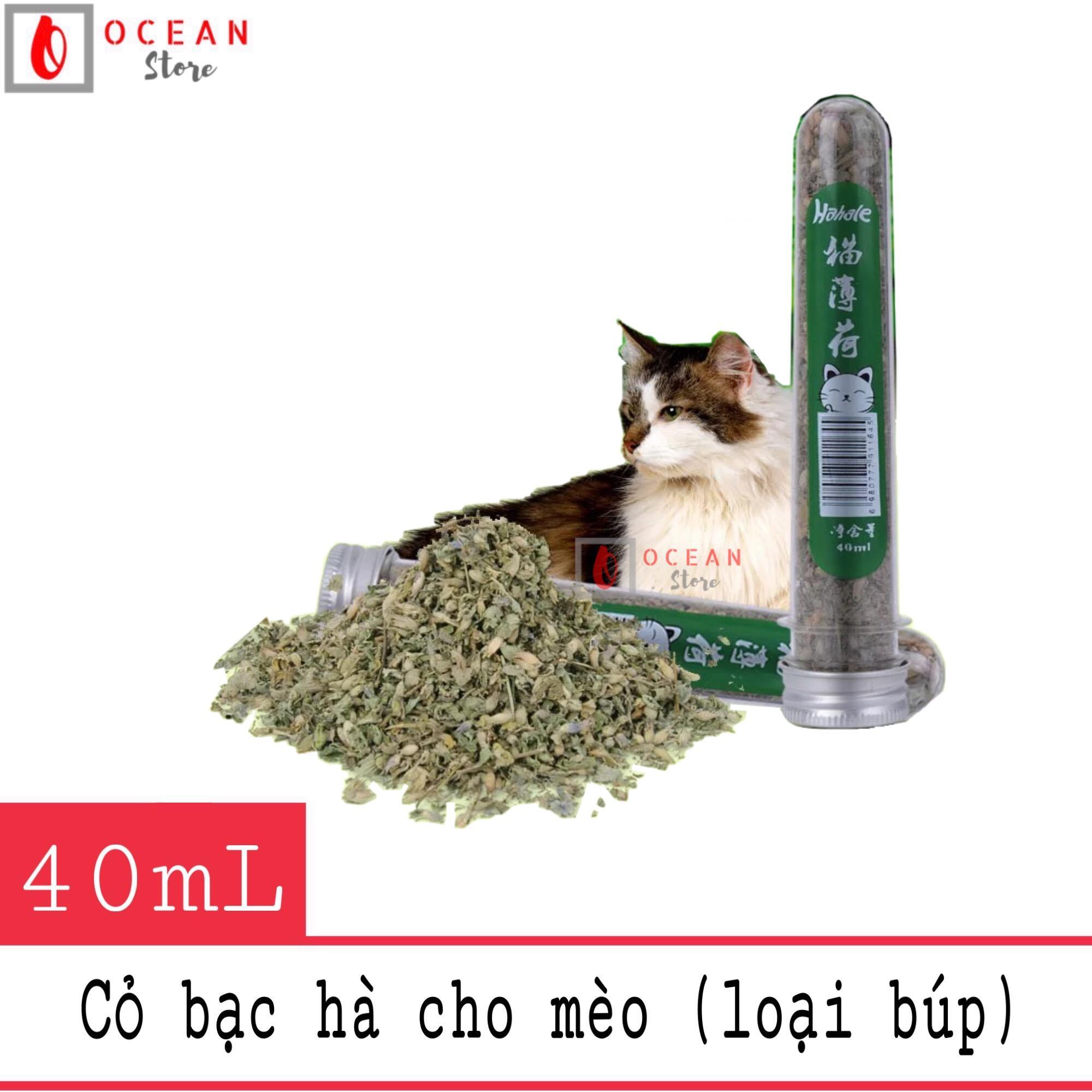 Cỏ bạc hà cho mèo hạt búp khô dạng ống - catnip 01
