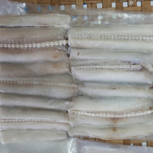 Cá chìa vôi 1 nắng