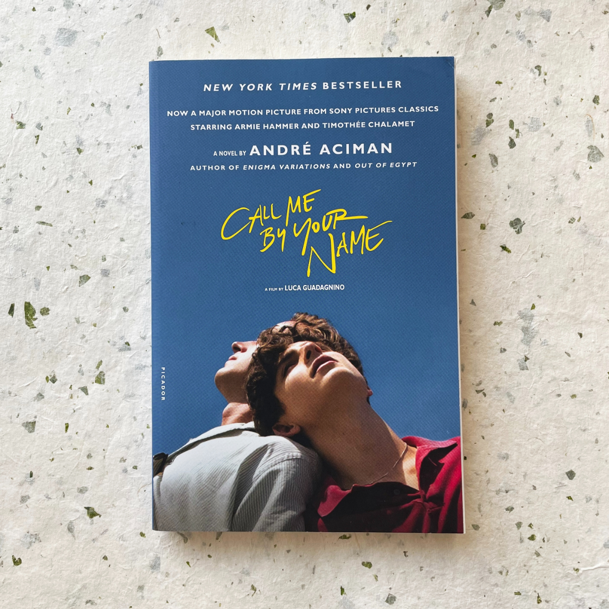 Call me by your name - moonbird