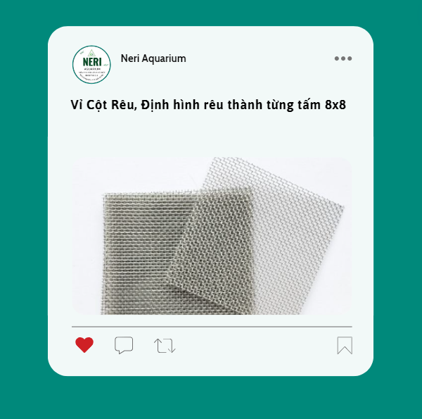 Vỉ - cước buộc rêu - ráy - cây thuỷ sinh cước tàng hình cước thuỷ sinh
