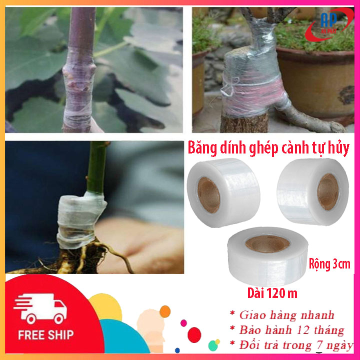 [XẢ KHO] Băng ghép cây chuyên dụng tự dính bảo vệ mối ghép và chống thấm nước, băng dính ghép cây tự hủy giá rẻ, băng quấn ghép cây, băng keo ghép cây nilon, băng keo dùng để chiết ghép cành, ghép cây