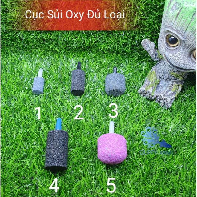 Đá Sủi Oxy Siêu Mịn - Đủ Loại Cho Hồ Cá Cảnh ( Mua 5 Tặng 1 ) Guppyxanh  3