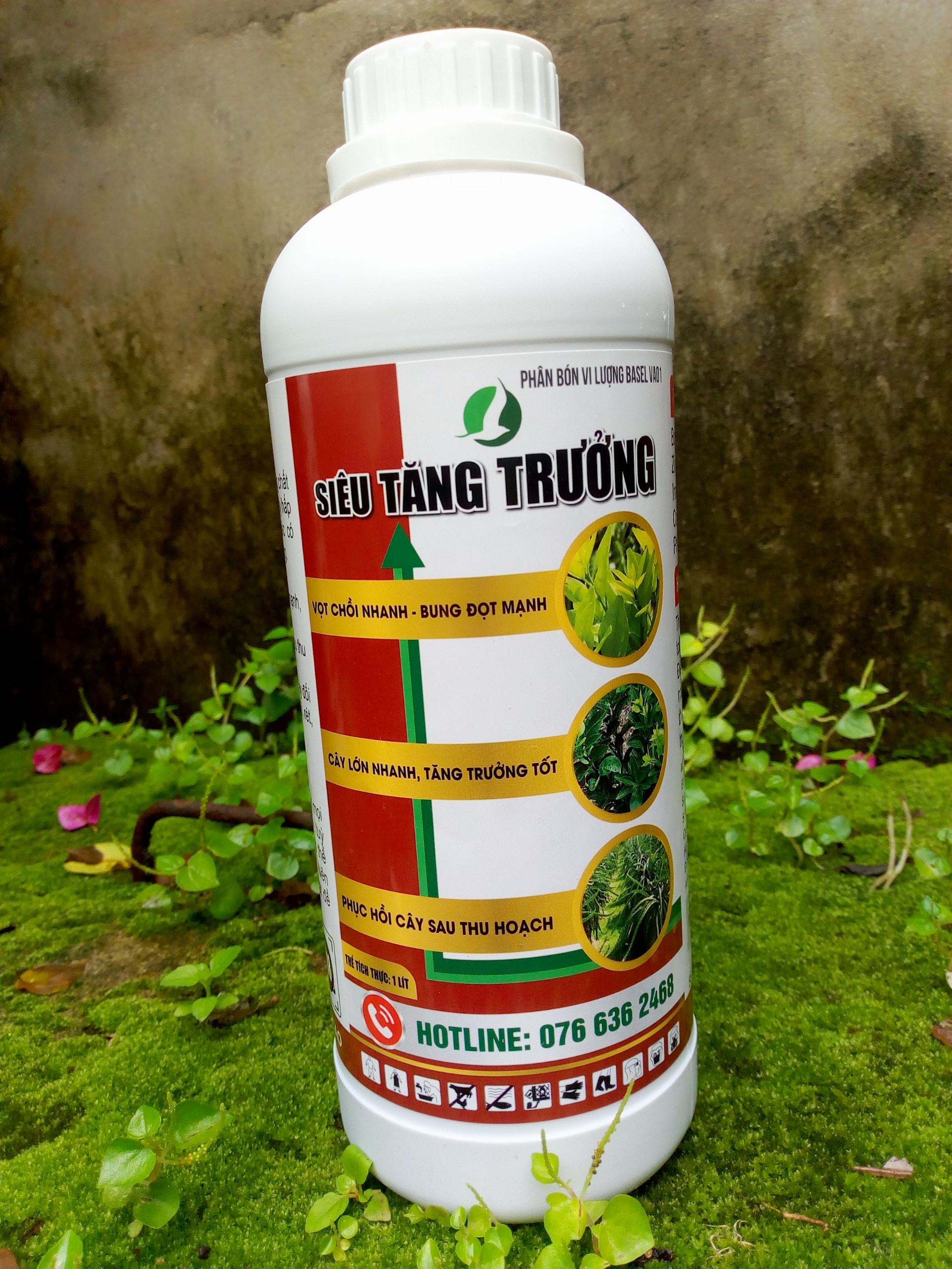 Siêu tăng trưởng, cây lớn nhanh, tăng trưởng tốt